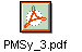 PMSy_3.pdf