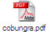 cobungra.pdf