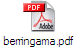 berringama.pdf