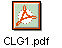 CLG1.pdf