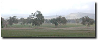 Photo: Unit ALF2 Landscape
