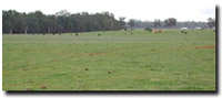 Photo: Unit ALP1 Landscape