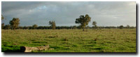 Photo: Unit ALP2 Landscape