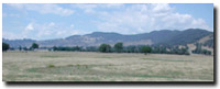 Photo: Unit ALP3 Landscape