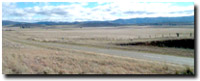 Photo: Unit ALP4 Landscape