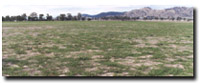 Photo: Unit ALP5 Landscape