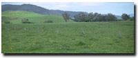 Photo: Unit ALP6 Landscape