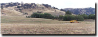 Photo: Unit CLGN Landscape