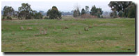 Photo: Unit CLSY1 Landscape