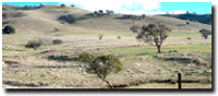 Photo: Unit CLSY3 Landscape