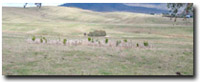 Photo: Unit CLSY4 Landscape