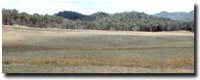 Photo: Unit CLSY5 Landscape