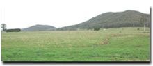 Photo: Colluvial Soil Landform Units