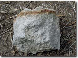 Photo: Close up of duripan near Chiltern