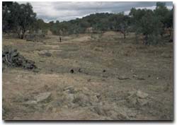 Photo: Exposed hardpan material at base of slope near chiltern