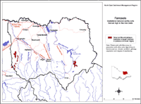Ferrosols