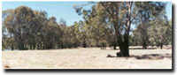 Photo: Unit FLP1 Landscape
