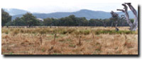 Photo: Unit FLP3 Landscape