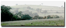 Photo: Hill Plateaux PHB soil landform unit