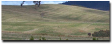 Photo: Hill Plateaux PHSy soil landform unit