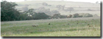 Photo: Hills HB Soil Landform Unit
