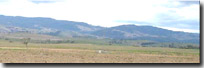 Photo: Hills HG3 Soil Landform Unit