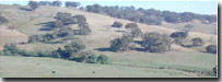 Photo: Hills HGn Soil Landform Unit