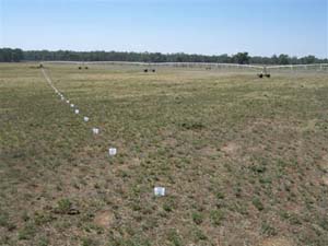 Irrigation System