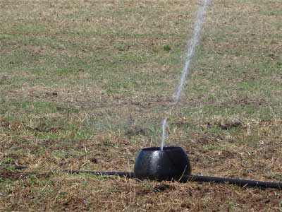 Figure 2: K-line sprinkler