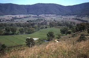 Northern Victorian Landscape