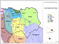 Local Government
