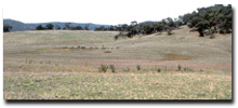 Photo: Low Hills Soil-Landform Unit - HSy1