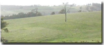 Photo: Low Hills LHSy1 Soil Landform Unit