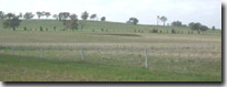 Photo: Low Hills LHSy2 Soil Landform Unit