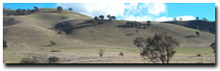 Photo: Mountain Plateaux Soil-Landform Unit PMSy