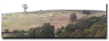 Photo: Mountain Plateaux Soil-Landform Unit PMb