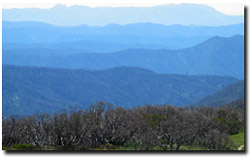 Photo: Looking towards Mount Buffalo from Mount Hotham