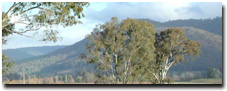 Photo: Mountains MSy3