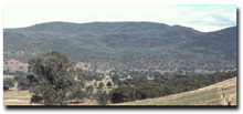 Photo: Mountains MG