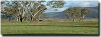 Photo: Site MV2 Landscape