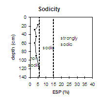 Graph: Sodicity in Site NE36