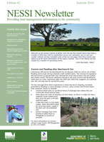 NESSI Newsletter Autumn 2010
