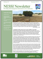NESSI Newsletter Summer 2010