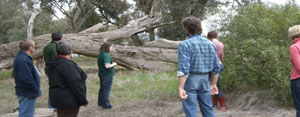 NESSI Newsletter Winter 2010 image 1