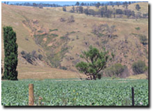 Photo: Erosion in Omeo valley