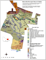Rutherglen Soils