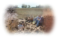 Photo: North East Soil Montage