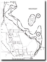 48. Sandstone Island - Silurian Outcrop