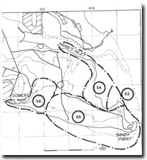 53. Sandy Point - Salt Marsh and Relict Spit