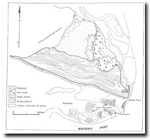 53. Sandy Point - Salt Marsh and Relict Spit